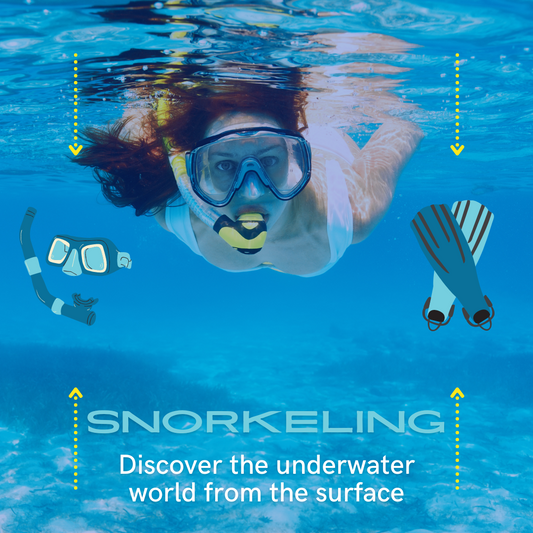 Snorkel Trip
