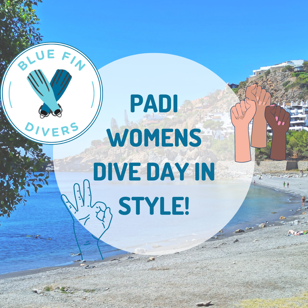 PADI Women's Dive Day 2023
