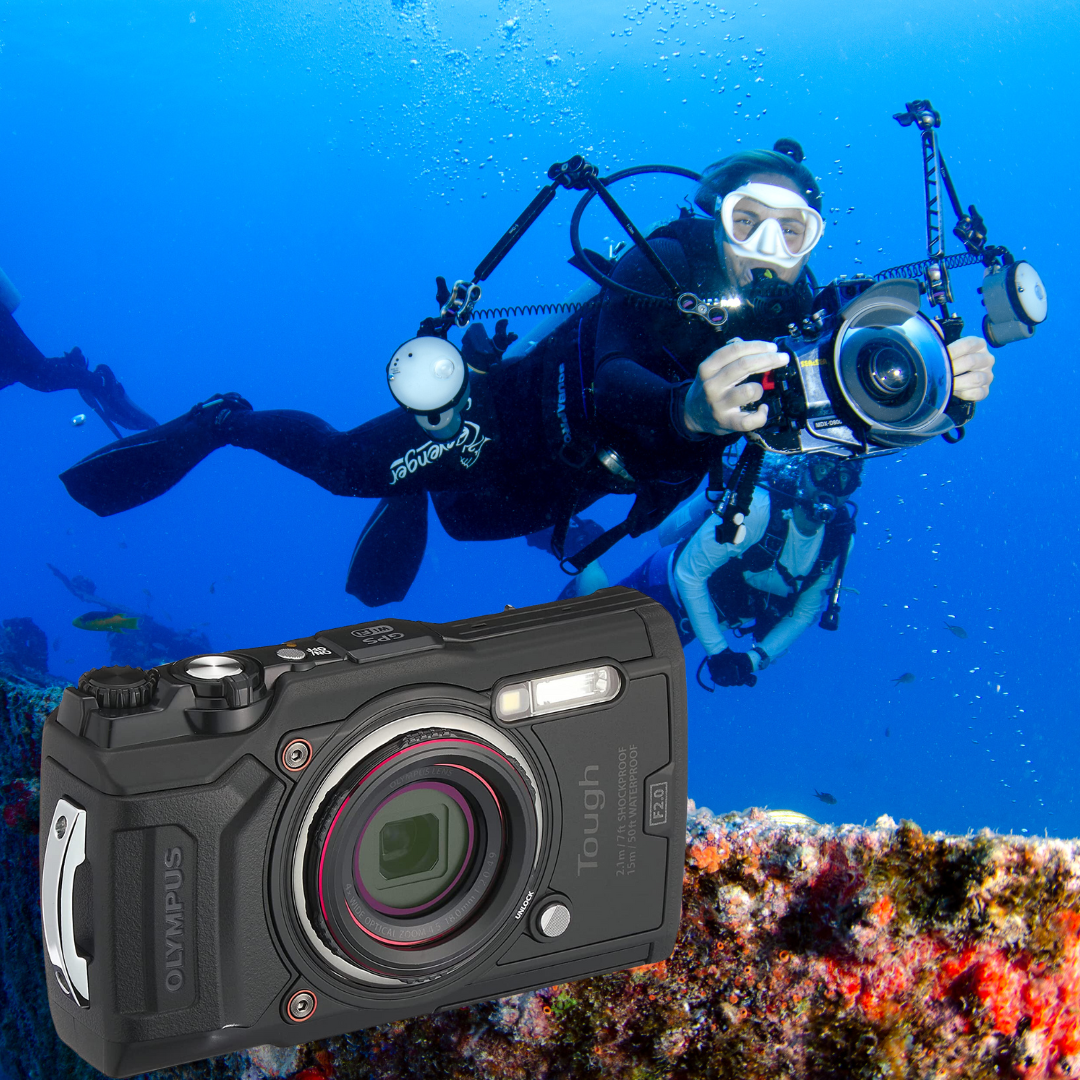 PADI Digital Underwater Photographer Course - Worth it?