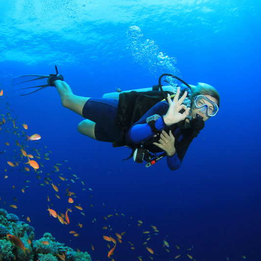 5 Reasons to Start Scuba Diving!
