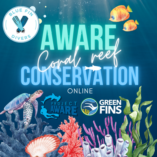 AWARE Especialidad en Conservación de Arrecifes de Coral online