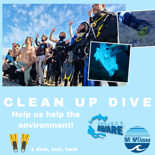 Join a Mi Moana Clean Up Dive