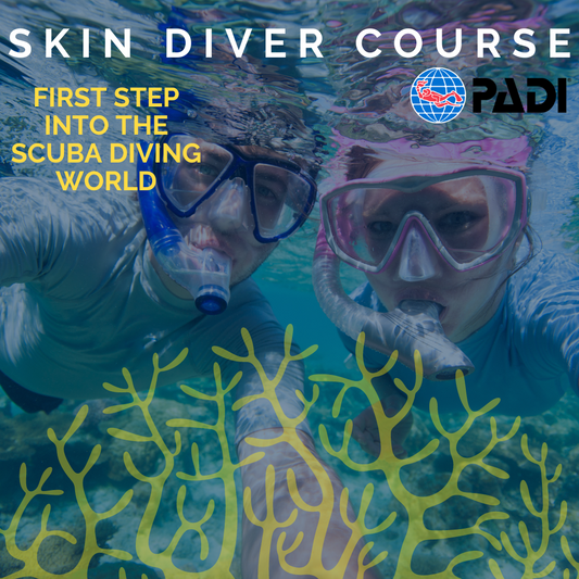 PADI Skin Diver Course