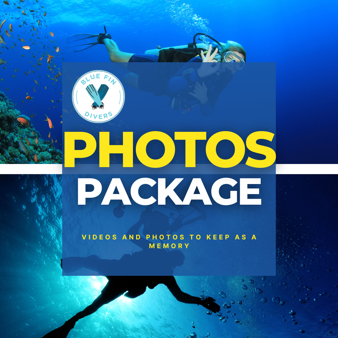 Paquete de fotografía de tus inmersiones