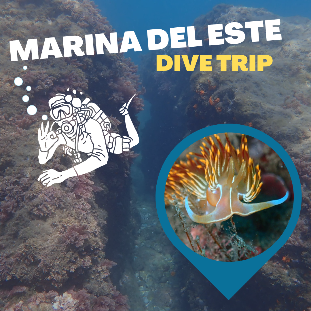 Marina Del Este Trip