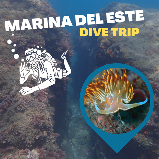 Marina Del Este Trip